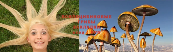 apvp Бронницы