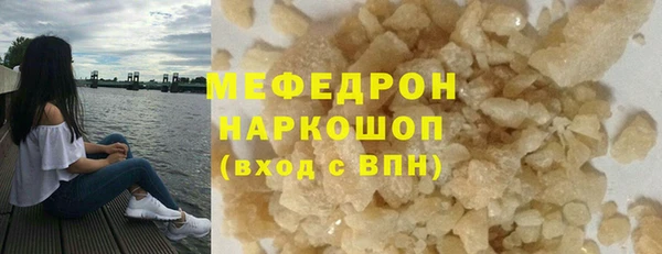 индика Богородск