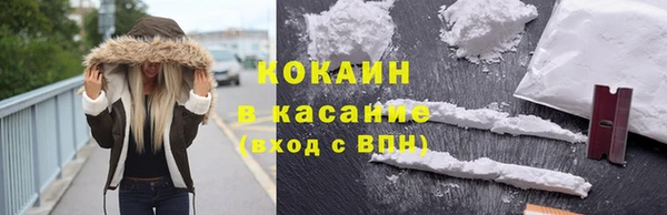 индика Богородск