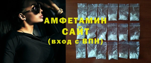 индика Богородск