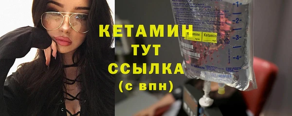 индика Богородск
