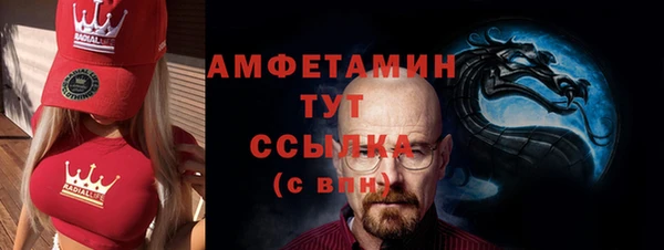 индика Богородск