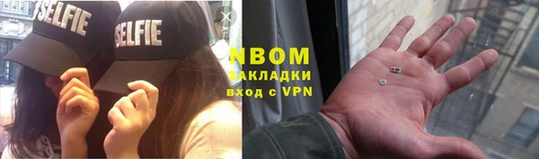 индика Богородск