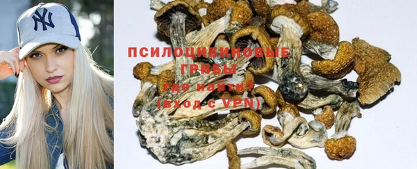 марки nbome Богородицк