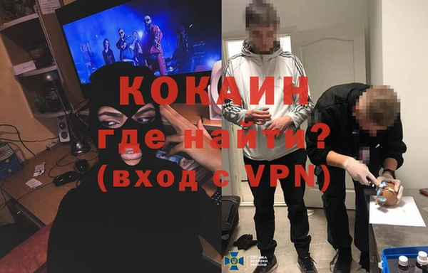 индика Богородск