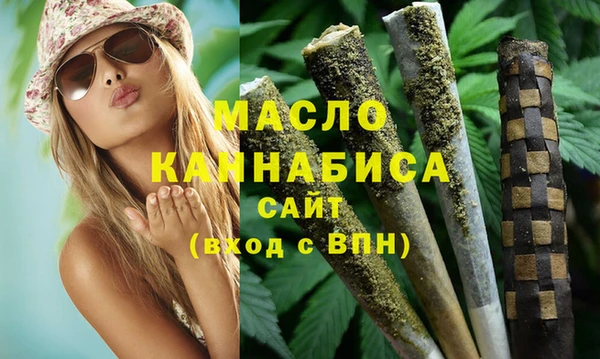 индика Богородск