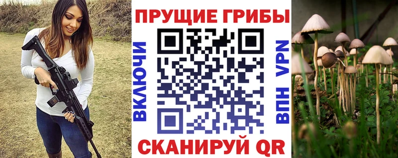магазин    Свободный  Псилоцибиновые грибы Psilocybine cubensis 